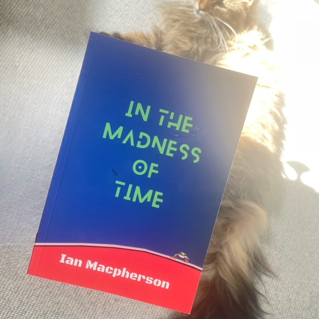 ian macpherson's novel hovers above a Maine Coon cat